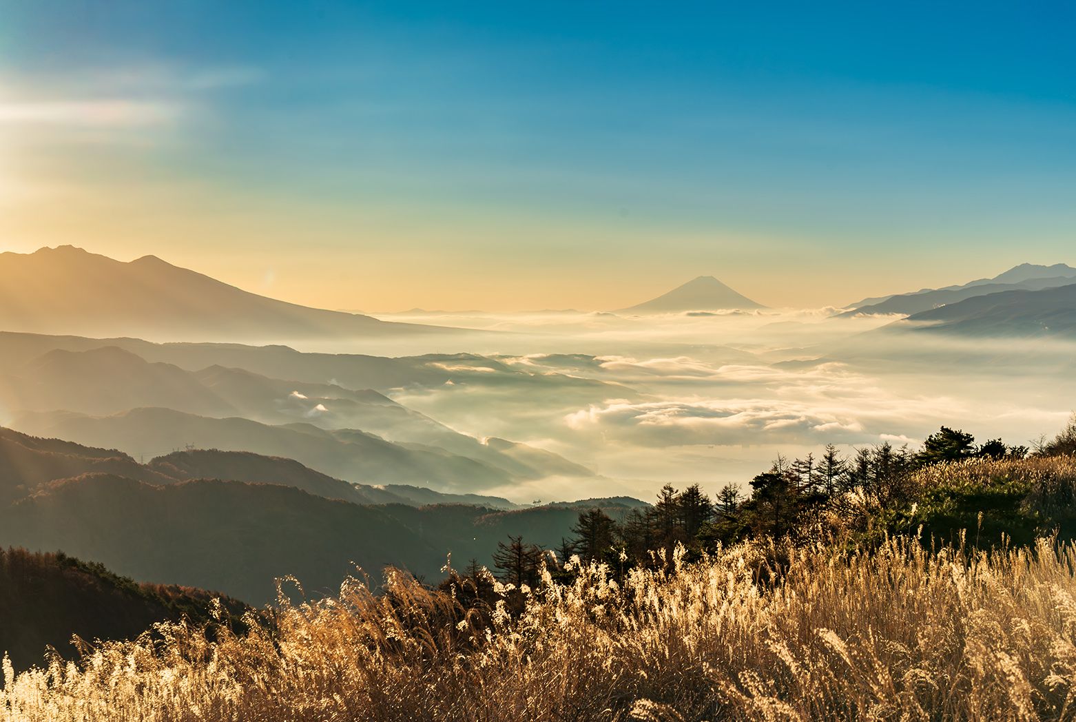 諏訪の美観地区や玉島エリアの名物飲食店ご紹介